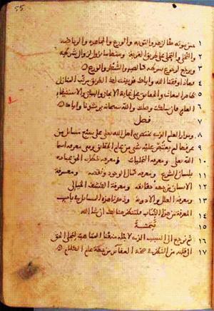 futmak.com - Meccan Revelations - Page 110 from Konya manuscript