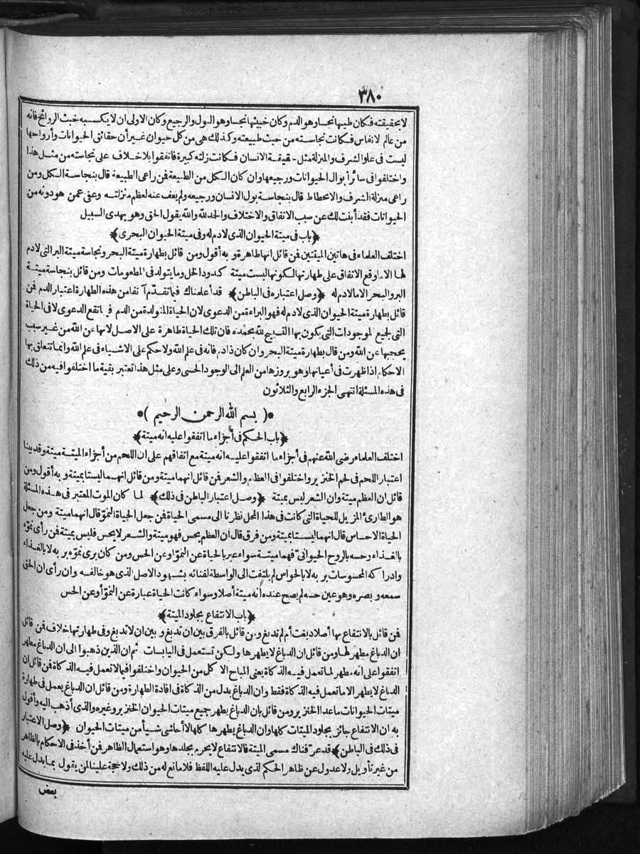 futmak.com - Meccan Revelations - Page  - from Volume 