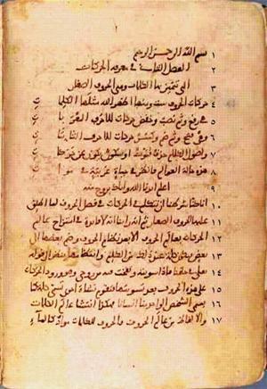 futmak.com - Meccan Revelations - Page 325 from Konya Manuscript